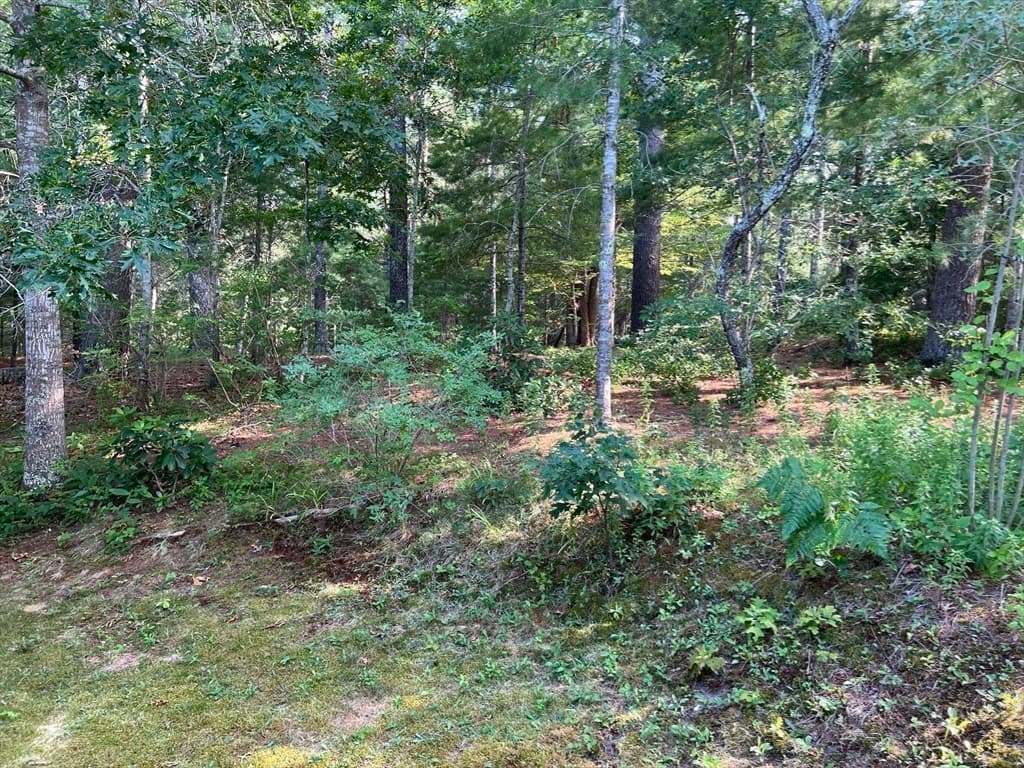 8 Jefferson Way, Carver MA 02330 photo 23