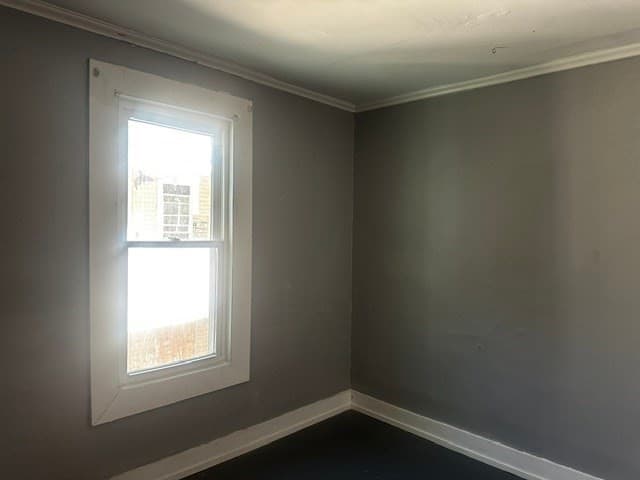 61-63 Acushnet Ave, Springfield MA 01105 photo 15