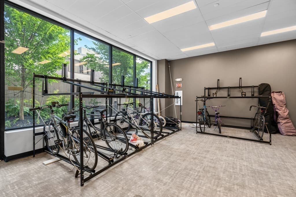 Condominium at 50 Leo M. Birmingham Parkway # A, Boston MA 02135, Boston, photo 22 of 30