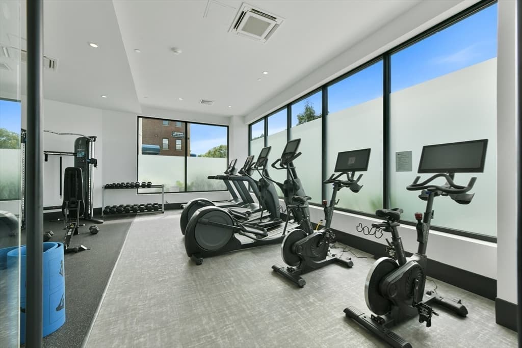 Condominium at 50 Leo M. Birmingham Parkway # A, Boston MA 02135, Boston, photo 21 of 30