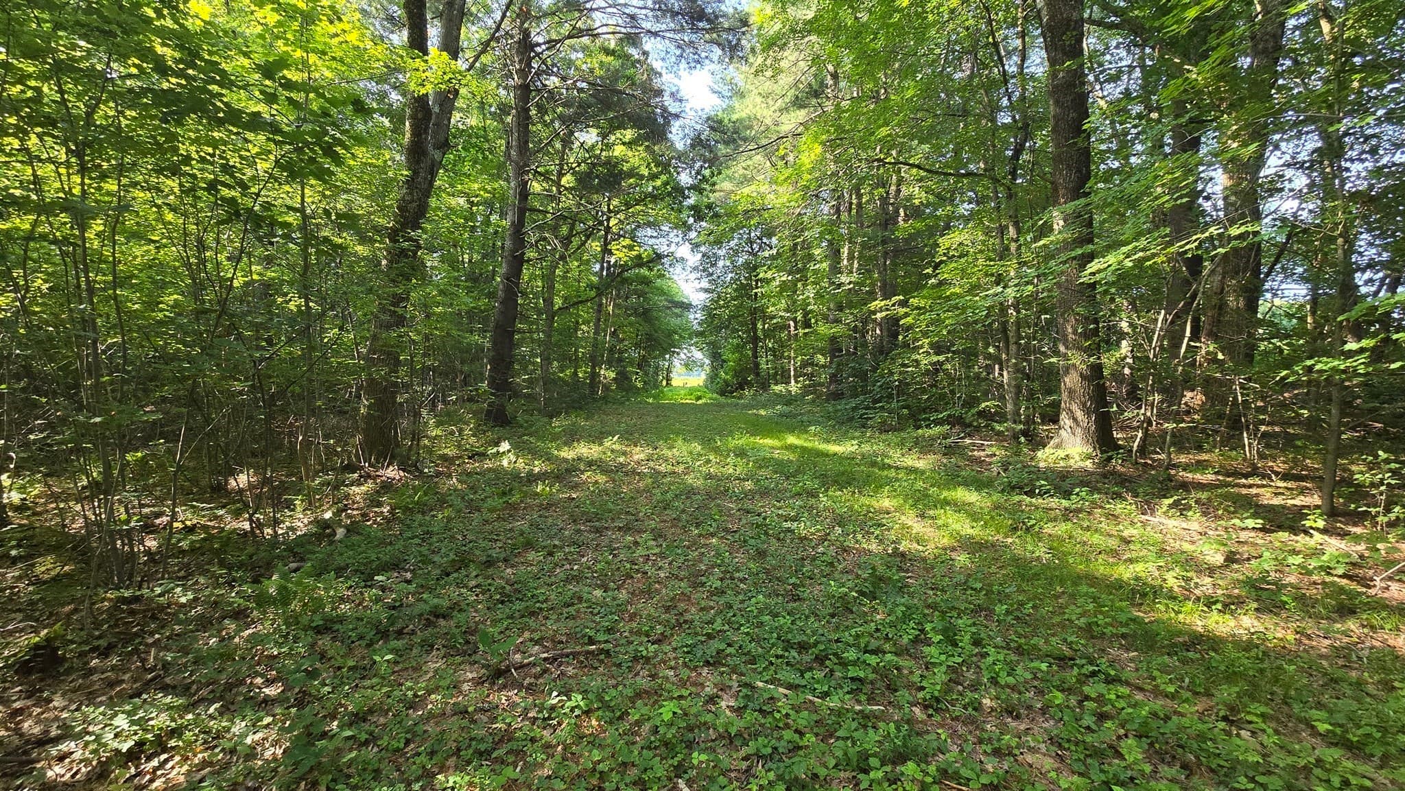 360 Grove St, Paxton MA 01612