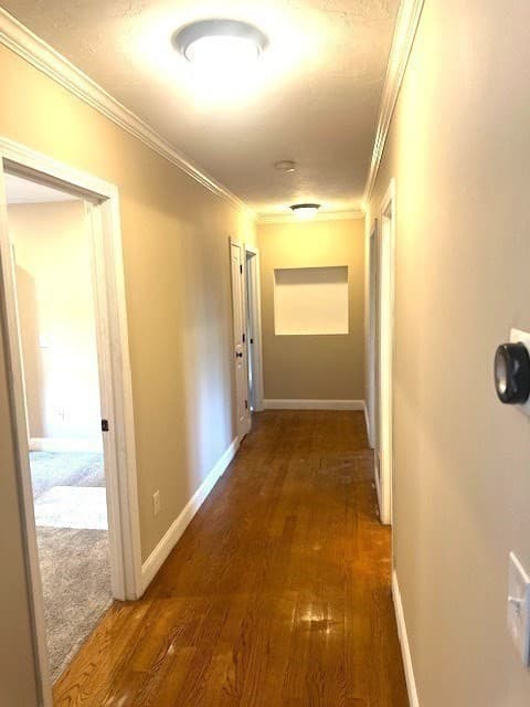 34 Carpenter Ave, Worcester MA 01605 photo 39