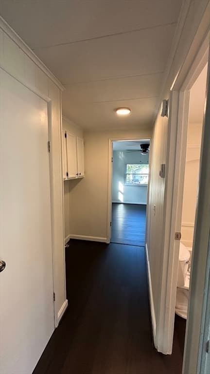 131 Washington Street # 3, Auburn MA 01501 photo 9