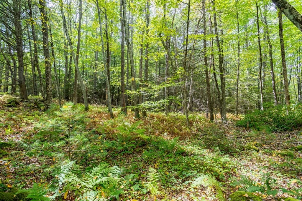 0 Riceville, Athol MA 01331 photo 13
