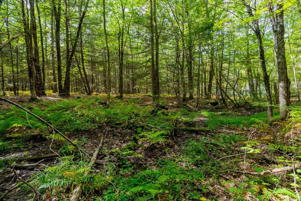 0 Riceville, Athol MA 01331 photo 12