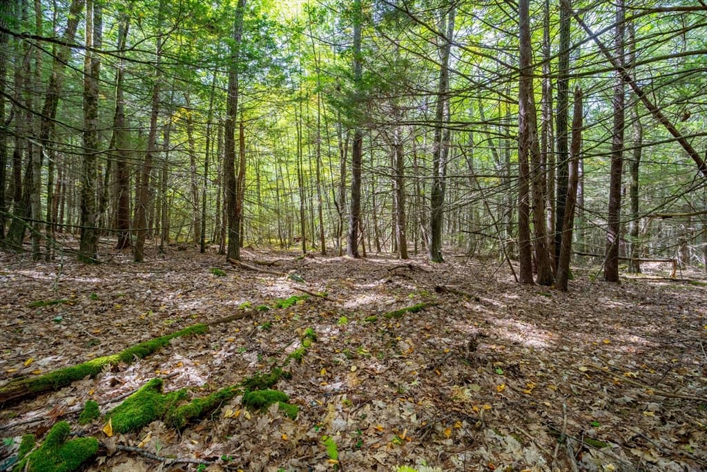 0 Riceville, Athol MA 01331 photo 14
