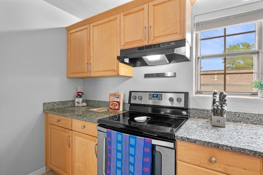 Condominium at 4 Robinwood Avenue # 6, Boston MA 02130, Boston, photo 9 of 33