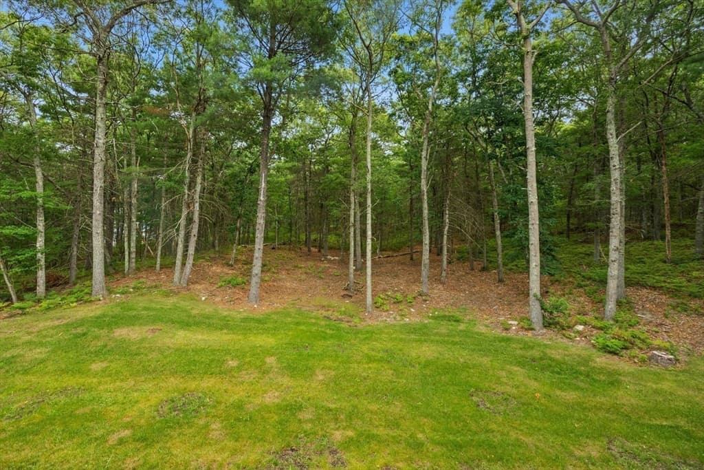 84 Cannon Ball Road, Sharon MA 02067 photo 11