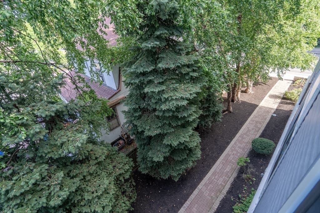 773 Concord Ave # 302, Cambridge MA 02138 photo 20