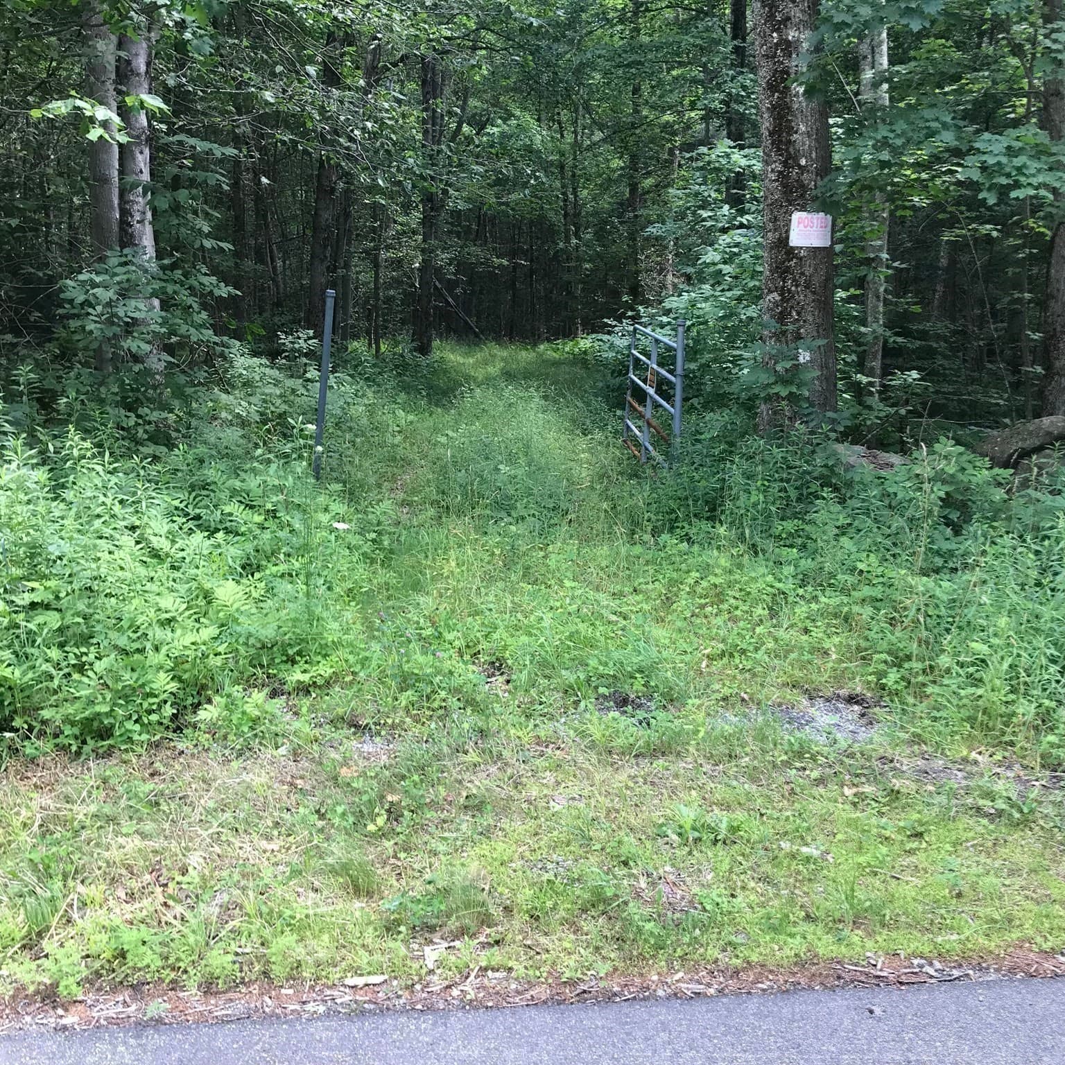 Residential at Lot 13 Algerie Rd, Otis MA 01253, photo 13 of 17