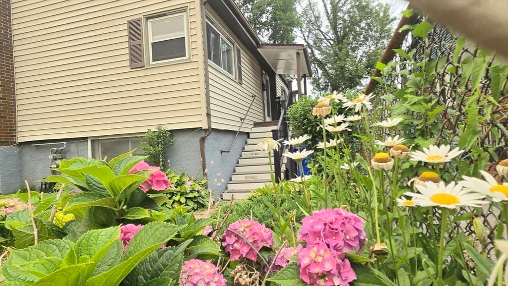 11 Stow Rd, Boston MA 02126 photo 20