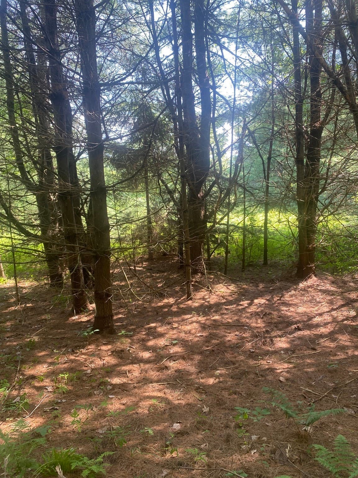 Residential at 5 East Mountain Rd, Great Barrington MA 01230, Great Barrington, photo 6 of 21