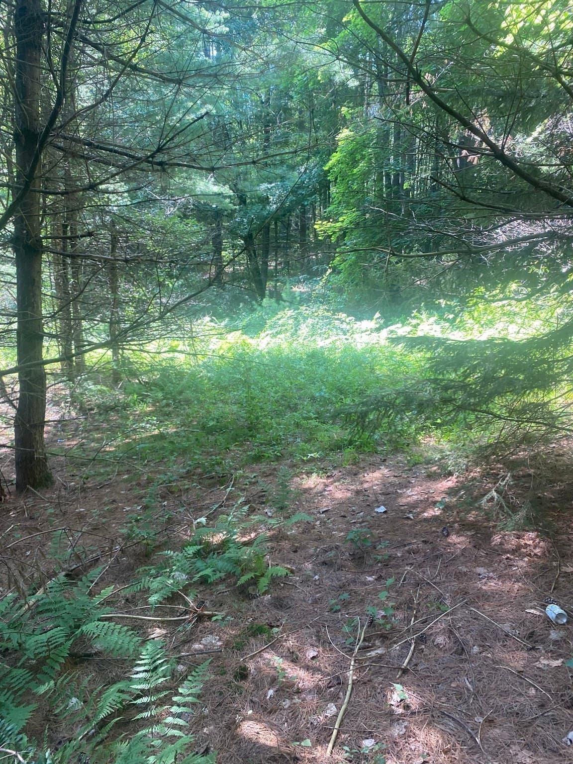 Residential at 5 East Mountain Rd, Great Barrington MA 01230, Great Barrington, photo 5 of 21