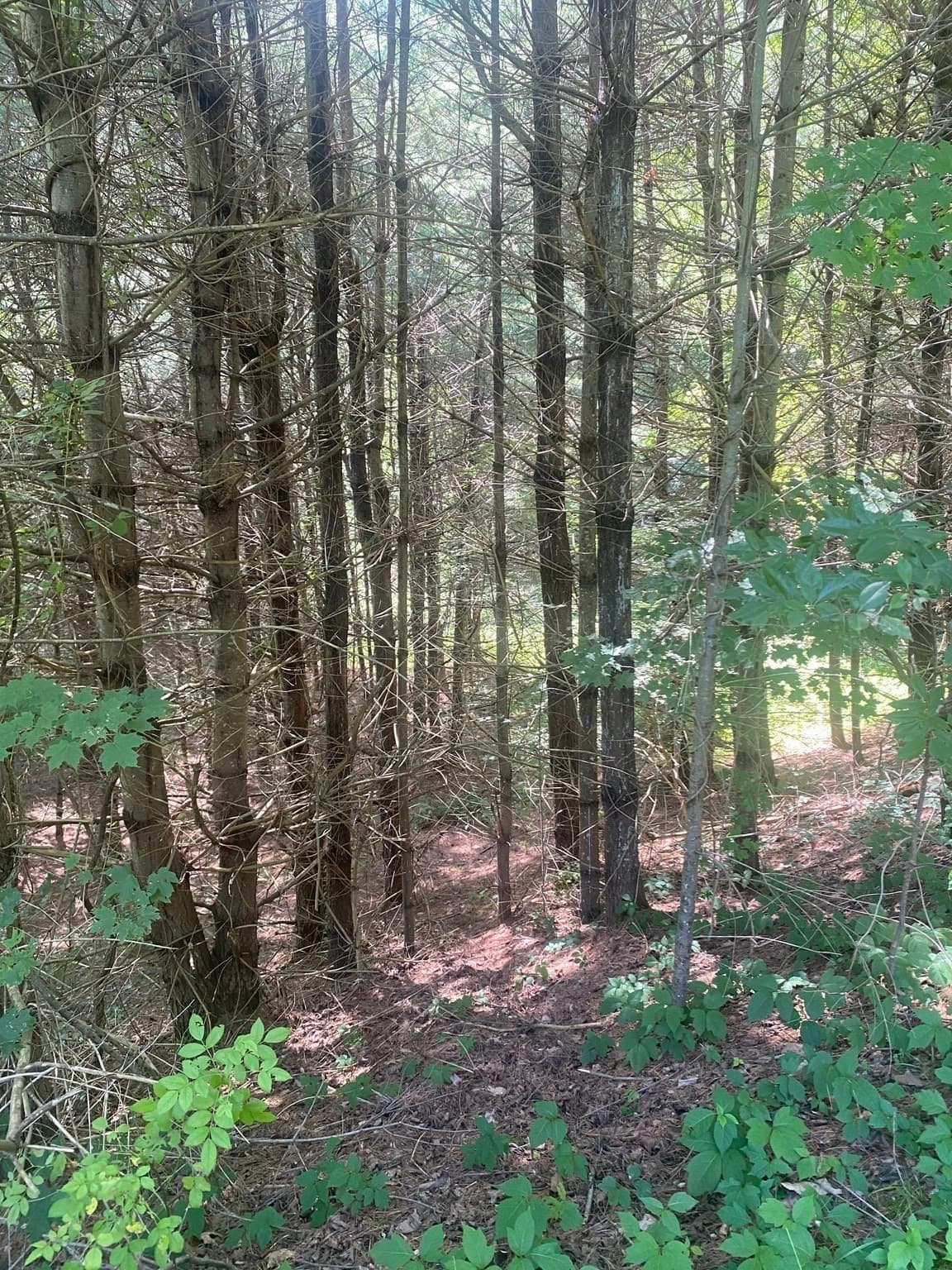Residential at 5 East Mountain Rd, Great Barrington MA 01230, Great Barrington, photo 20 of 21