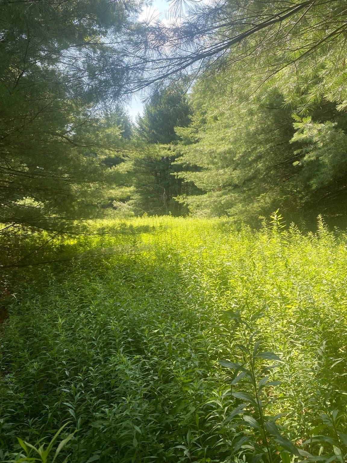 Residential at 5 East Mountain Rd, Great Barrington MA 01230, Great Barrington, photo 19 of 21