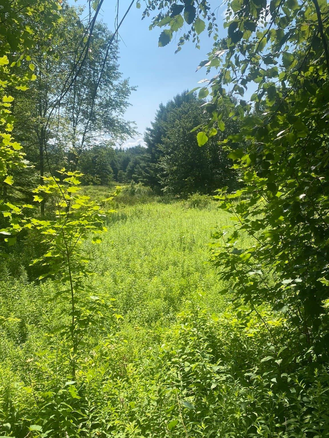 Residential at 5 East Mountain Rd, Great Barrington MA 01230, Great Barrington, photo 4 of 21