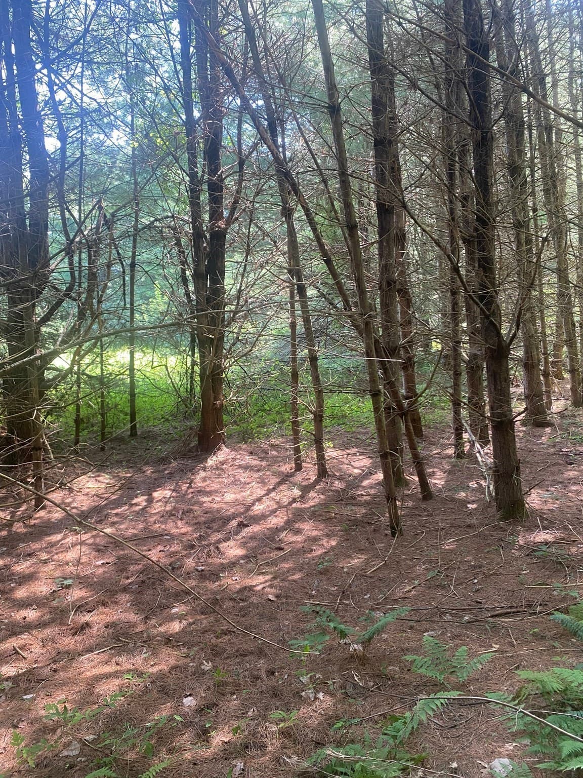 Residential at 5 East Mountain Rd, Great Barrington MA 01230, Great Barrington, photo 8 of 21