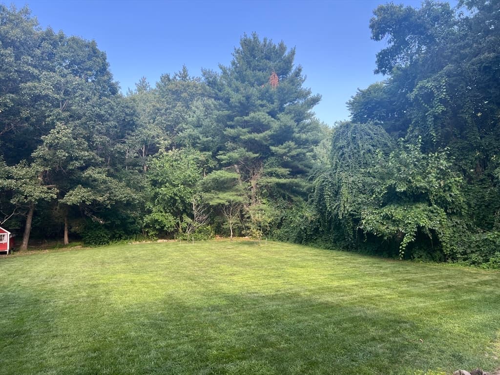 3 Forest St, Wilmington MA 01887 photo 34