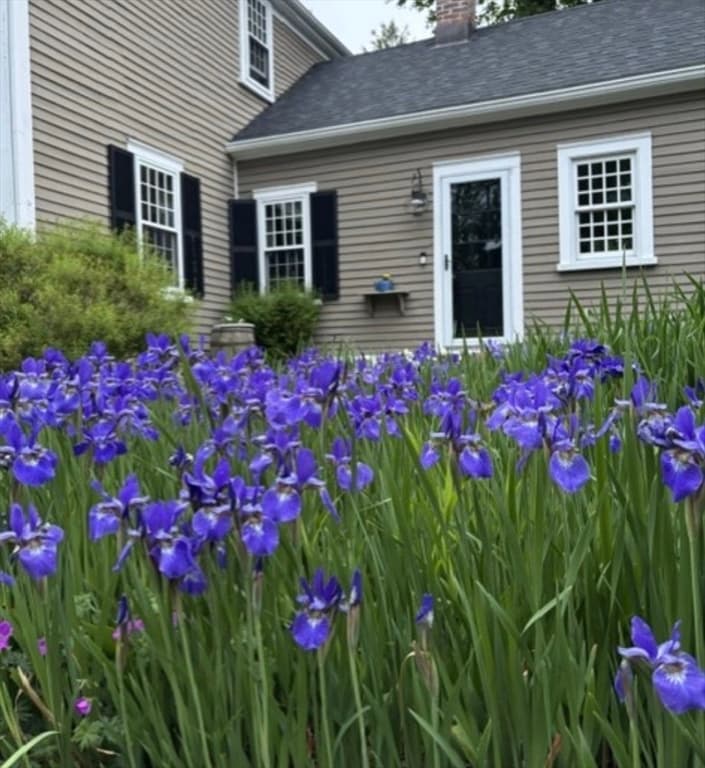 28 Spring Street, Hanson MA 02341 photo 4