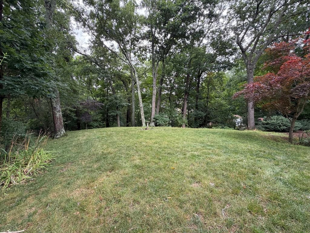 7 Wayne Dr, Foxboro MA 02035 photo 38