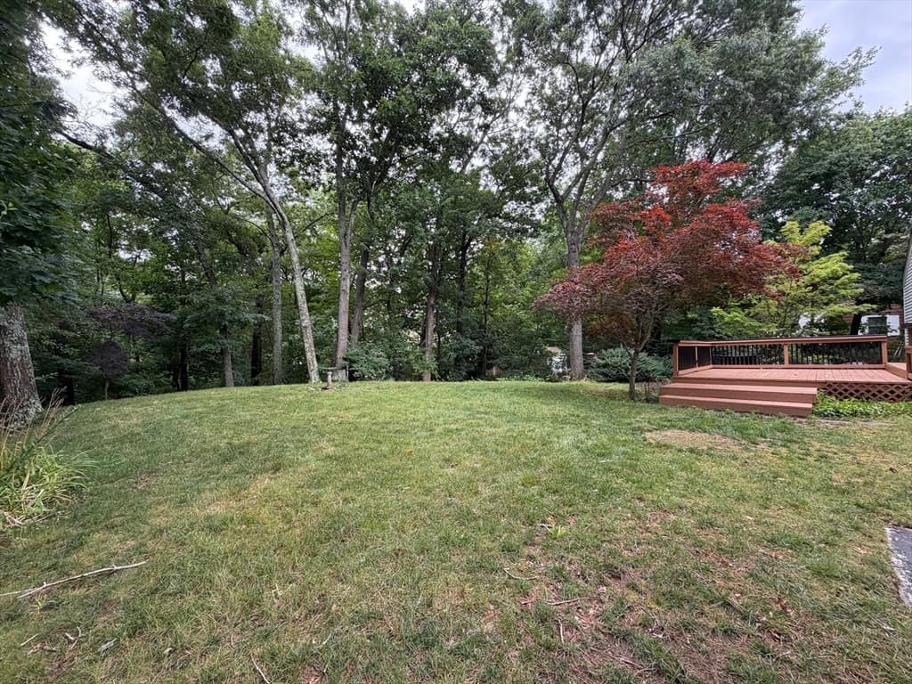 7 Wayne Dr, Foxboro MA 02035 photo 37