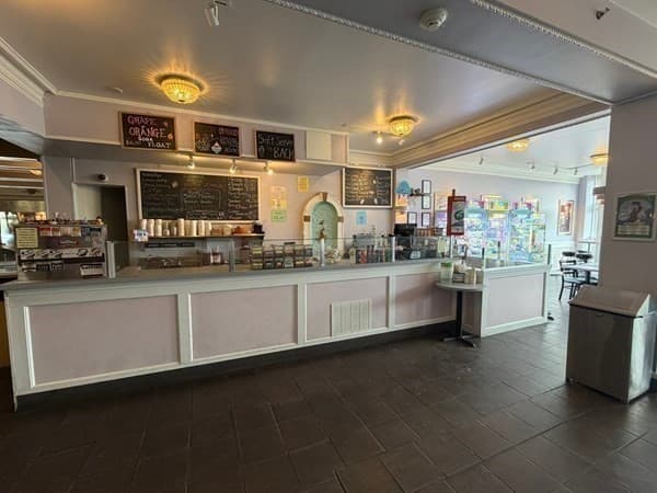 202 Massachusetts Ave, Arlington MA 02474 photo 8