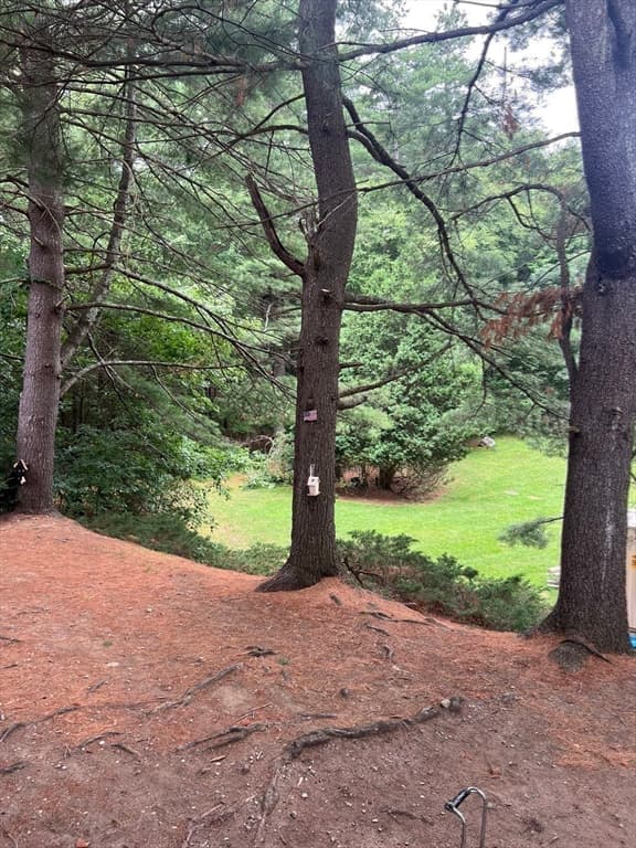 53 Swanson Court # 16C, Boxborough MA 01719 photo 32