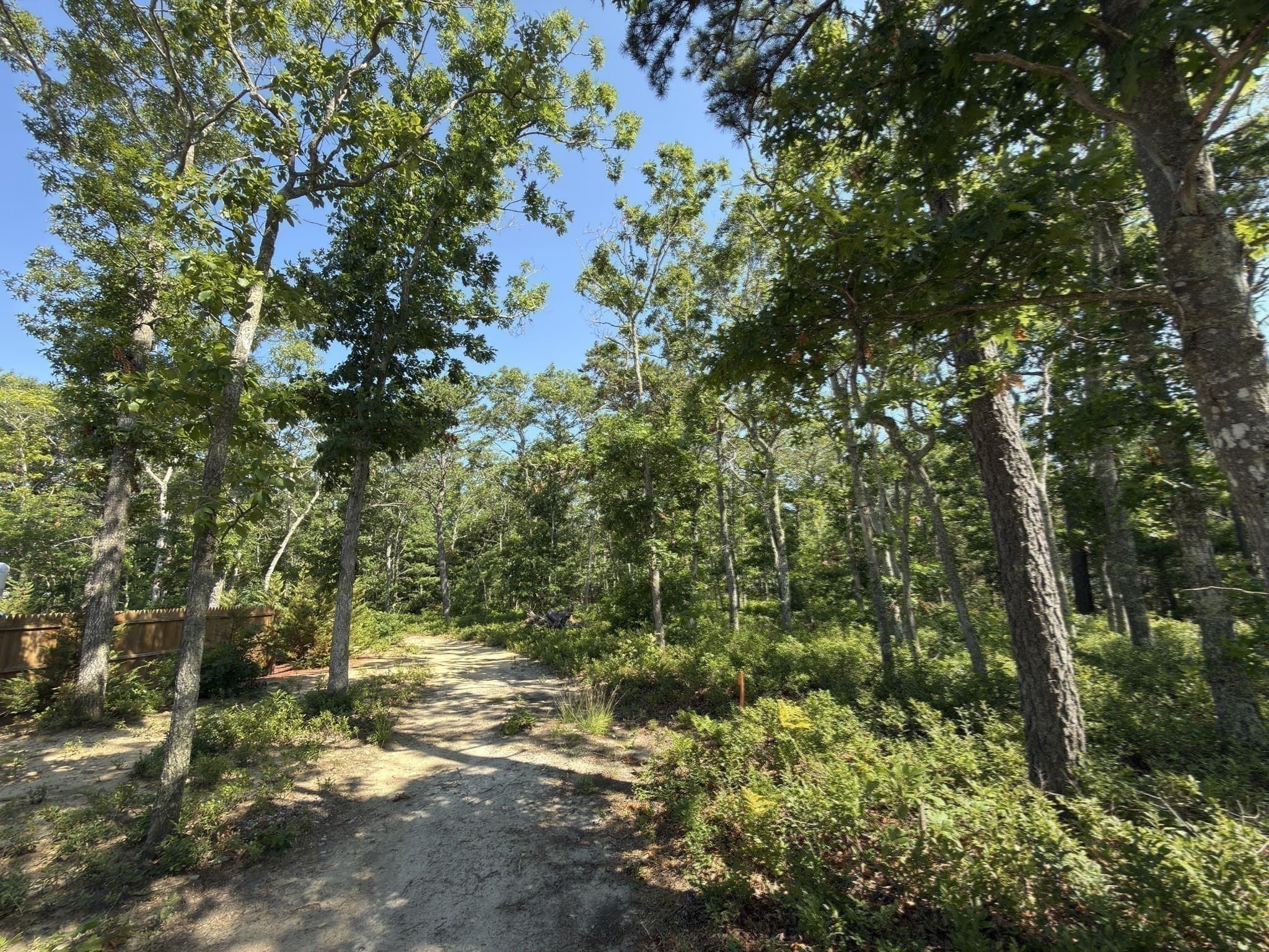 Agriculture at 202 Ashumet Rd., Falmouth MA 02536, photo 22 of 39