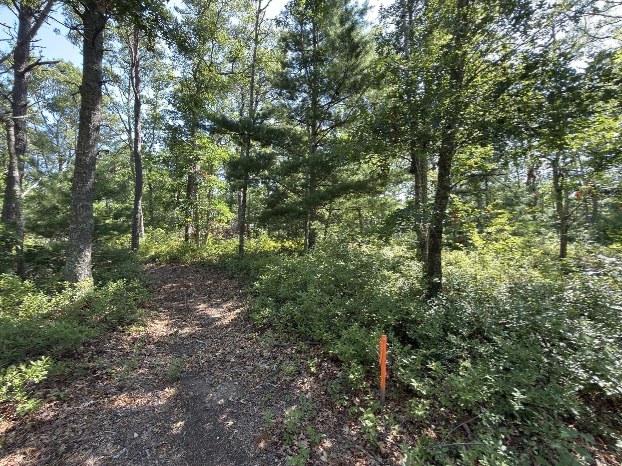 Agriculture at 202 Ashumet Rd., Falmouth MA 02536, photo 33 of 39