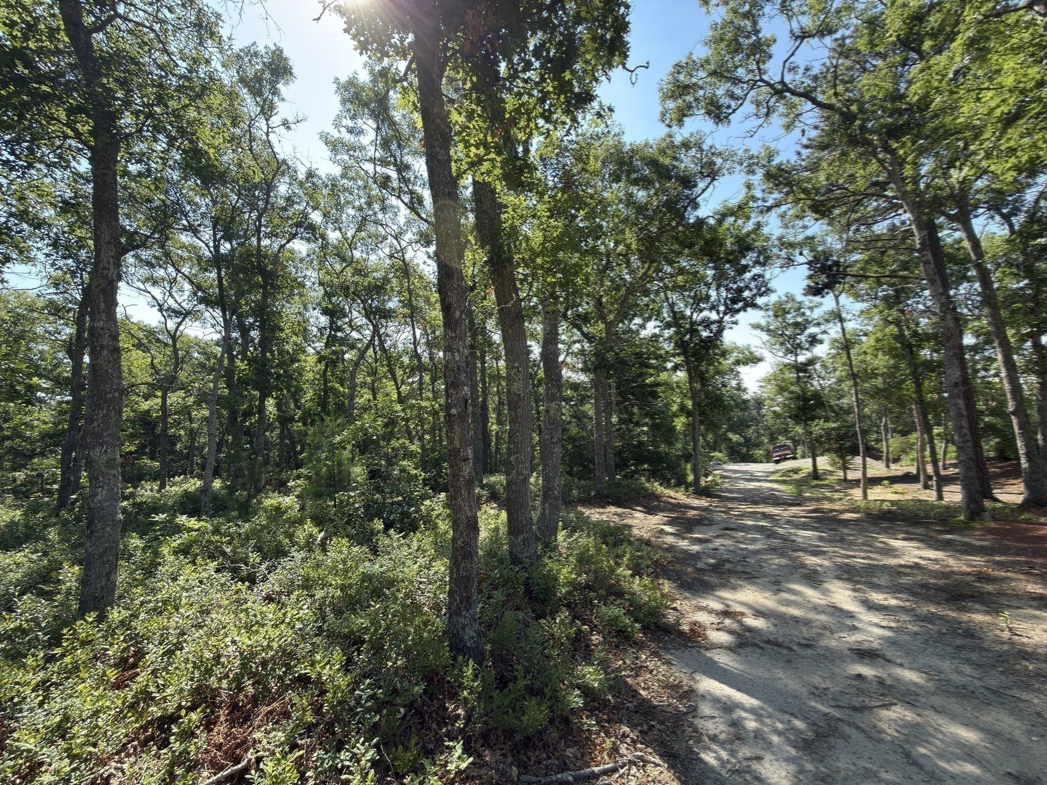 Agriculture at 202 Ashumet Rd., Falmouth MA 02536, photo 37 of 39