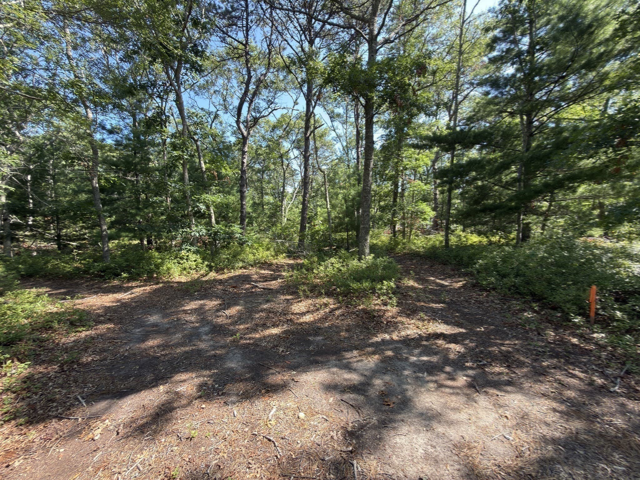 Agriculture at 202 Ashumet Rd., Falmouth MA 02536, photo 11 of 39