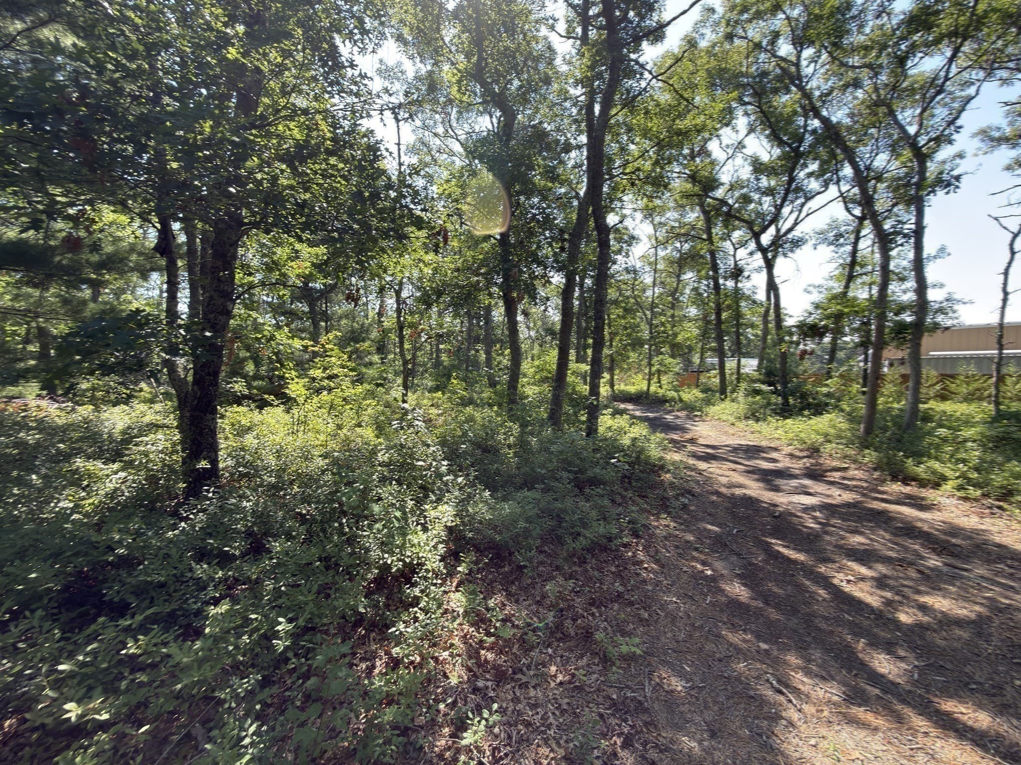 Agriculture at 202 Ashumet Rd., Falmouth MA 02536, photo 31 of 39