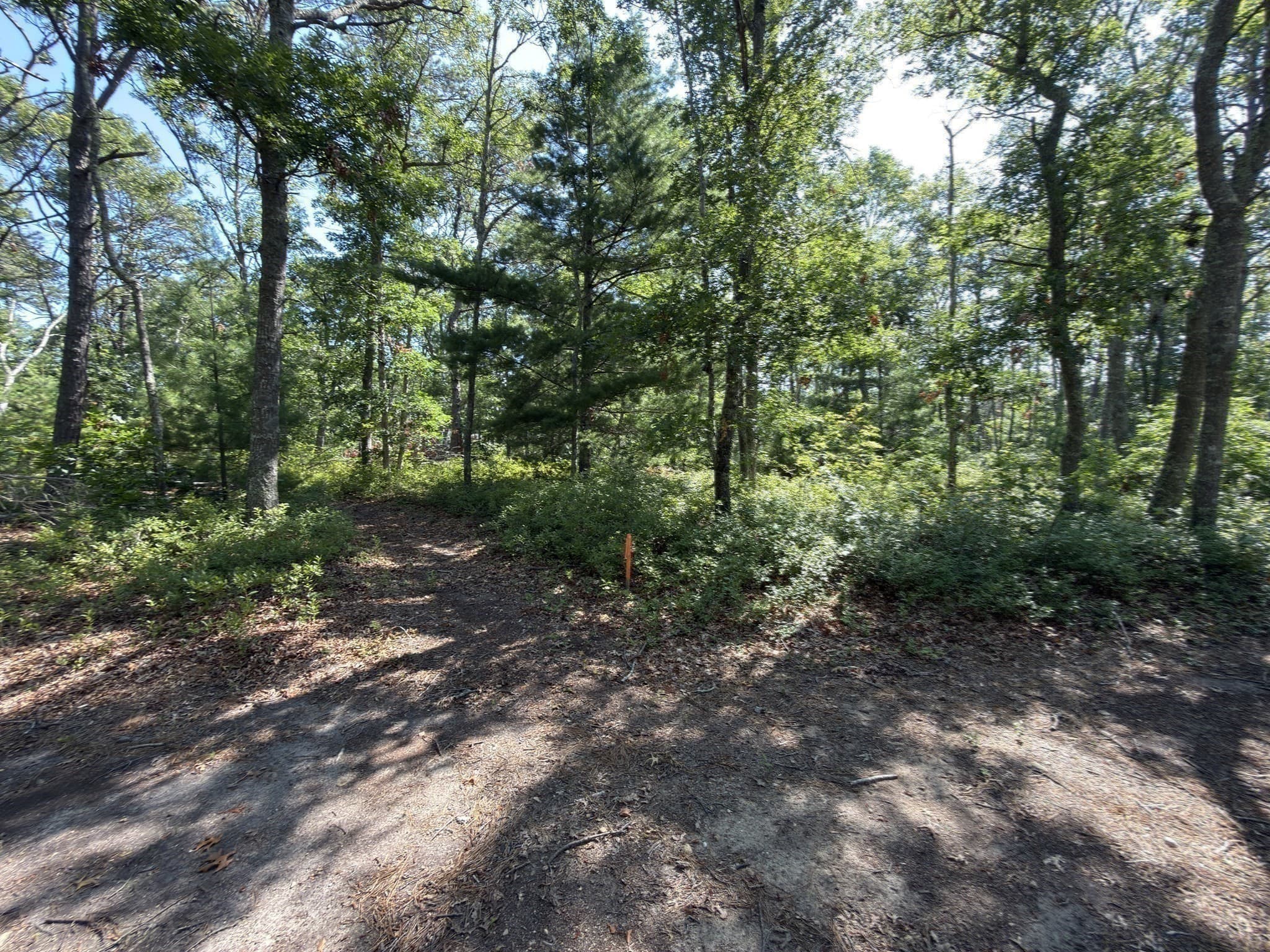 Agriculture at 202 Ashumet Rd., Falmouth MA 02536, photo 21 of 39