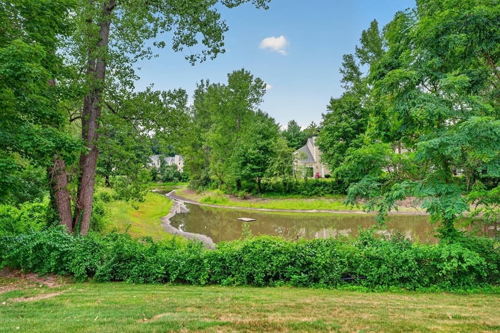 7 Canvasback Way # 7, Walpole MA 02081 photo 27