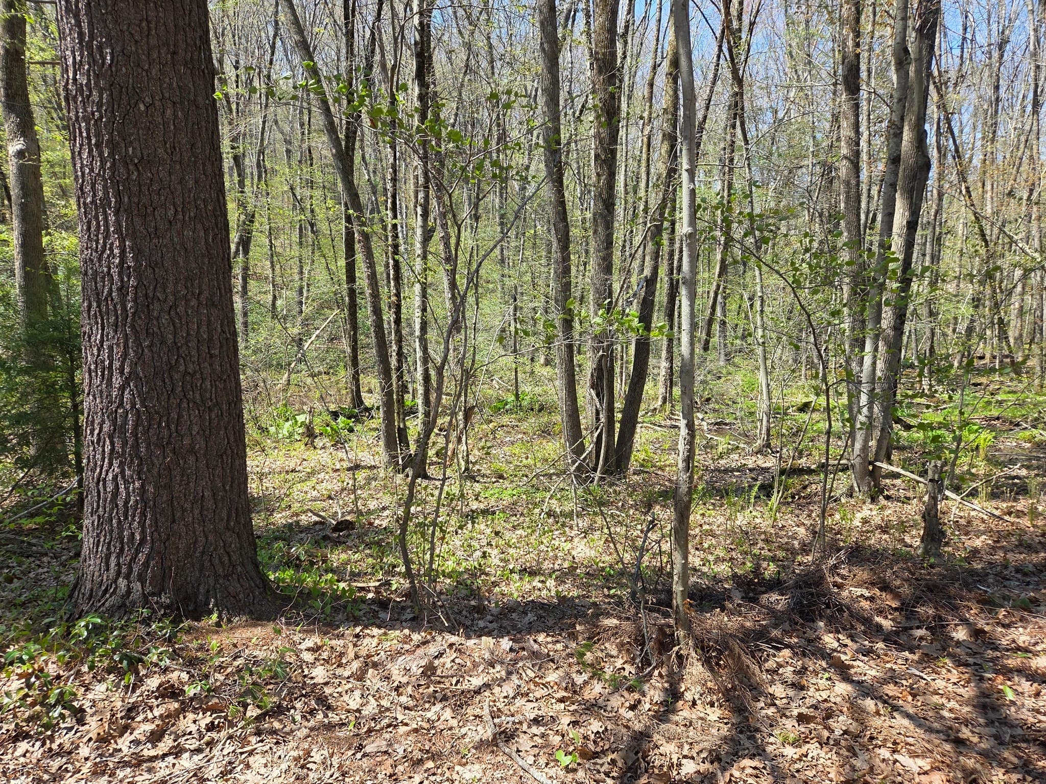 Residential at 0 Union Road, Holland MA 01521, photo 2 of 5