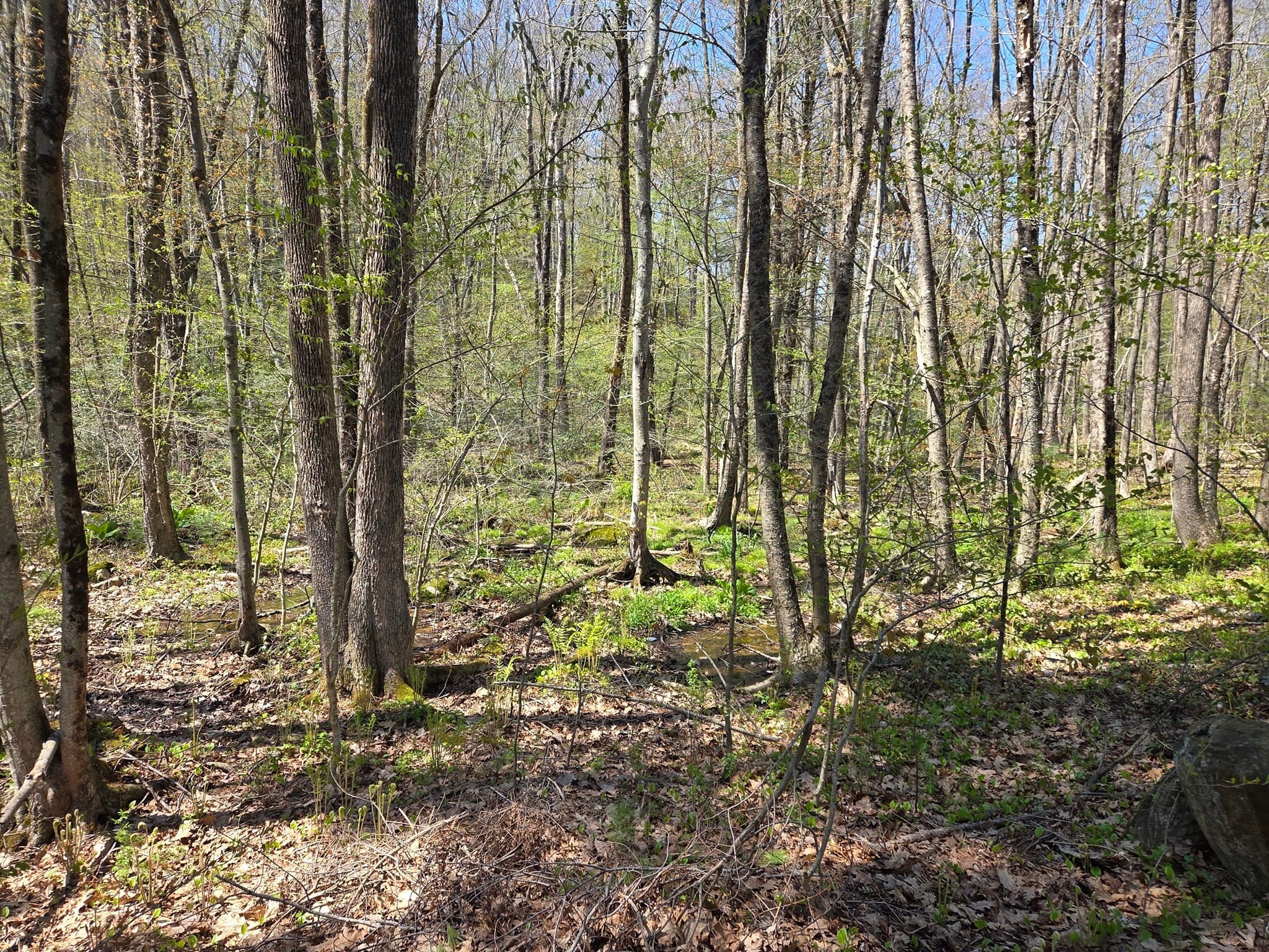 Residential at 0 Union Road, Holland MA 01521, photo 3 of 5