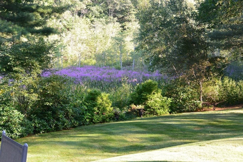46 Black Burnian Road, Weston MA 02493 photo 42