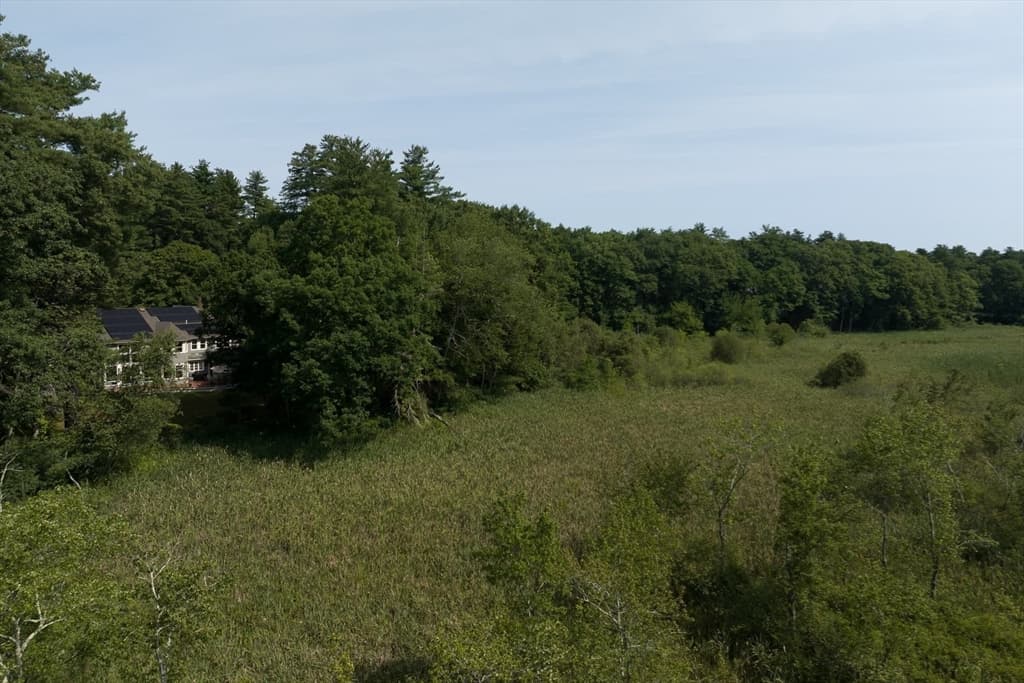 46 Black Burnian Road, Weston MA 02493 photo 41