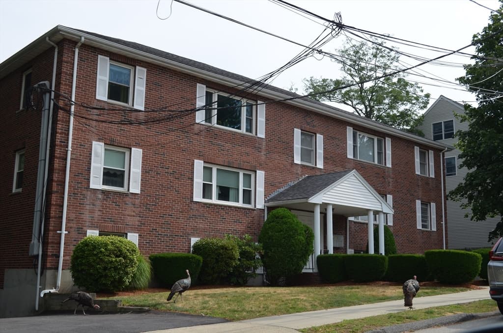 22 Roosevelt Rd # 4, Quincy MA 02169 photo 2