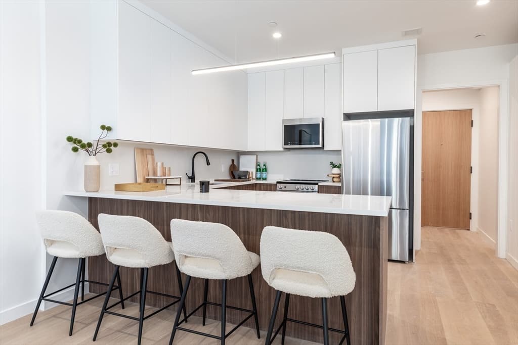 1395 Washington Street # 204, Boston MA 02118 photo 5
