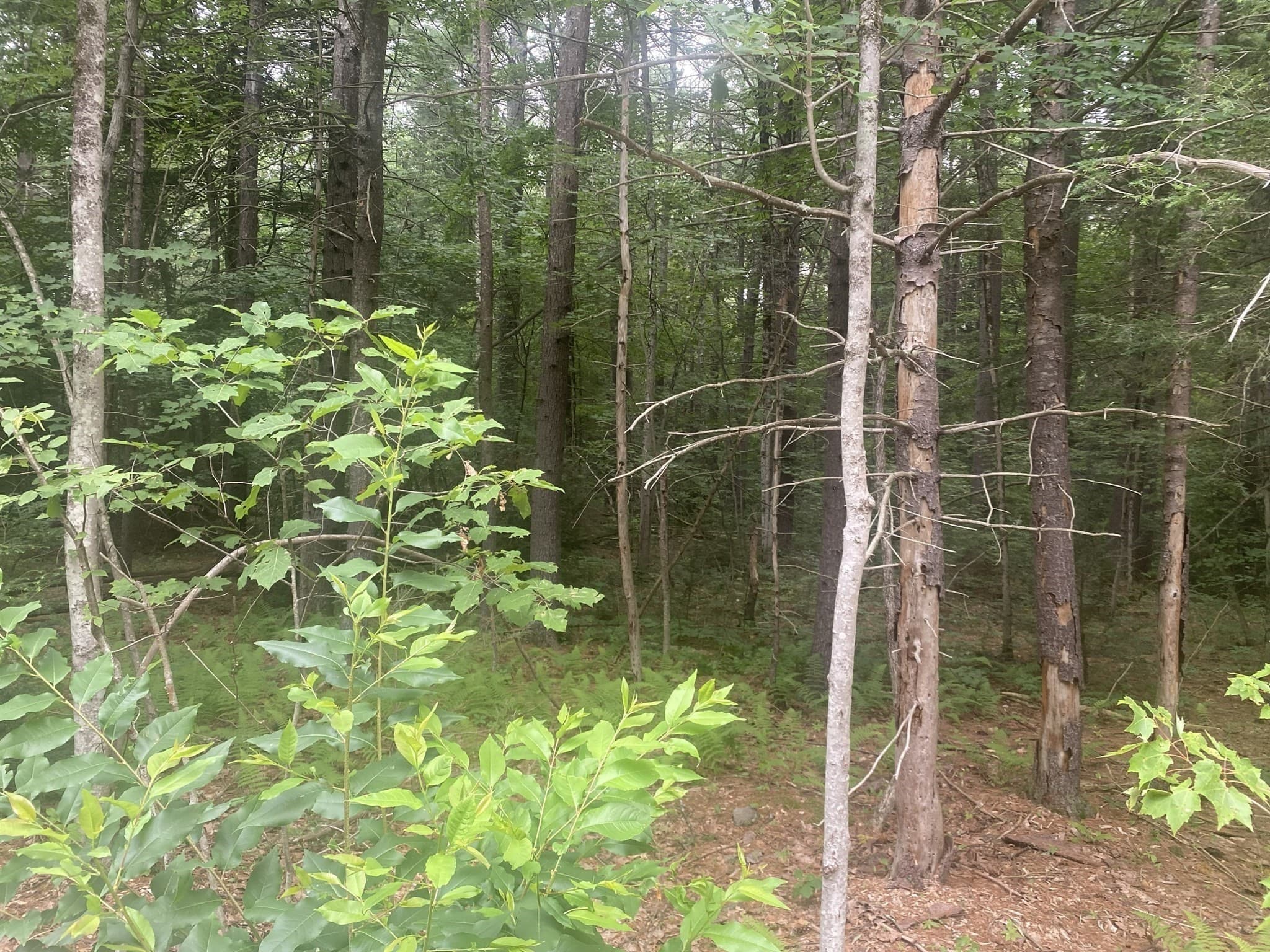 Residential at 132 Crooked Ledge Rd, Southampton MA 01073, photo 5 of 8