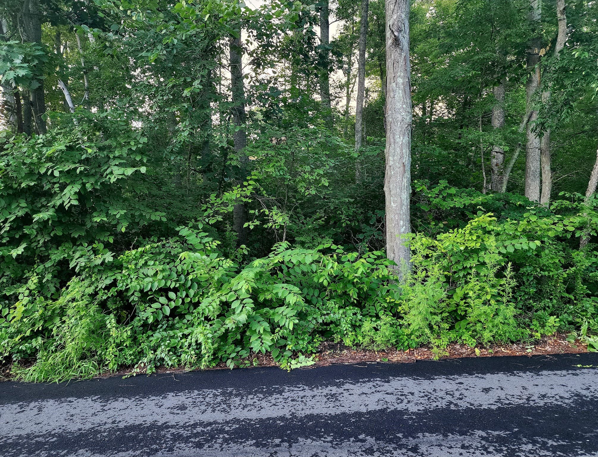 Residential at 20 Lakeside Ave, Webster MA 01571, photo 2 of 3