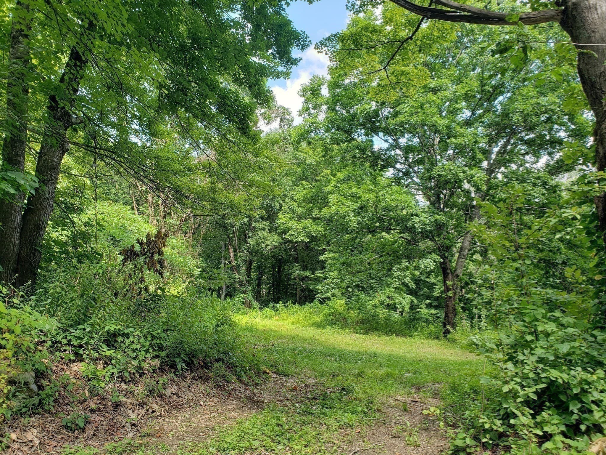 Residential at 0 Harlow Clark Rd., Huntington MA 01050, photo 5 of 19