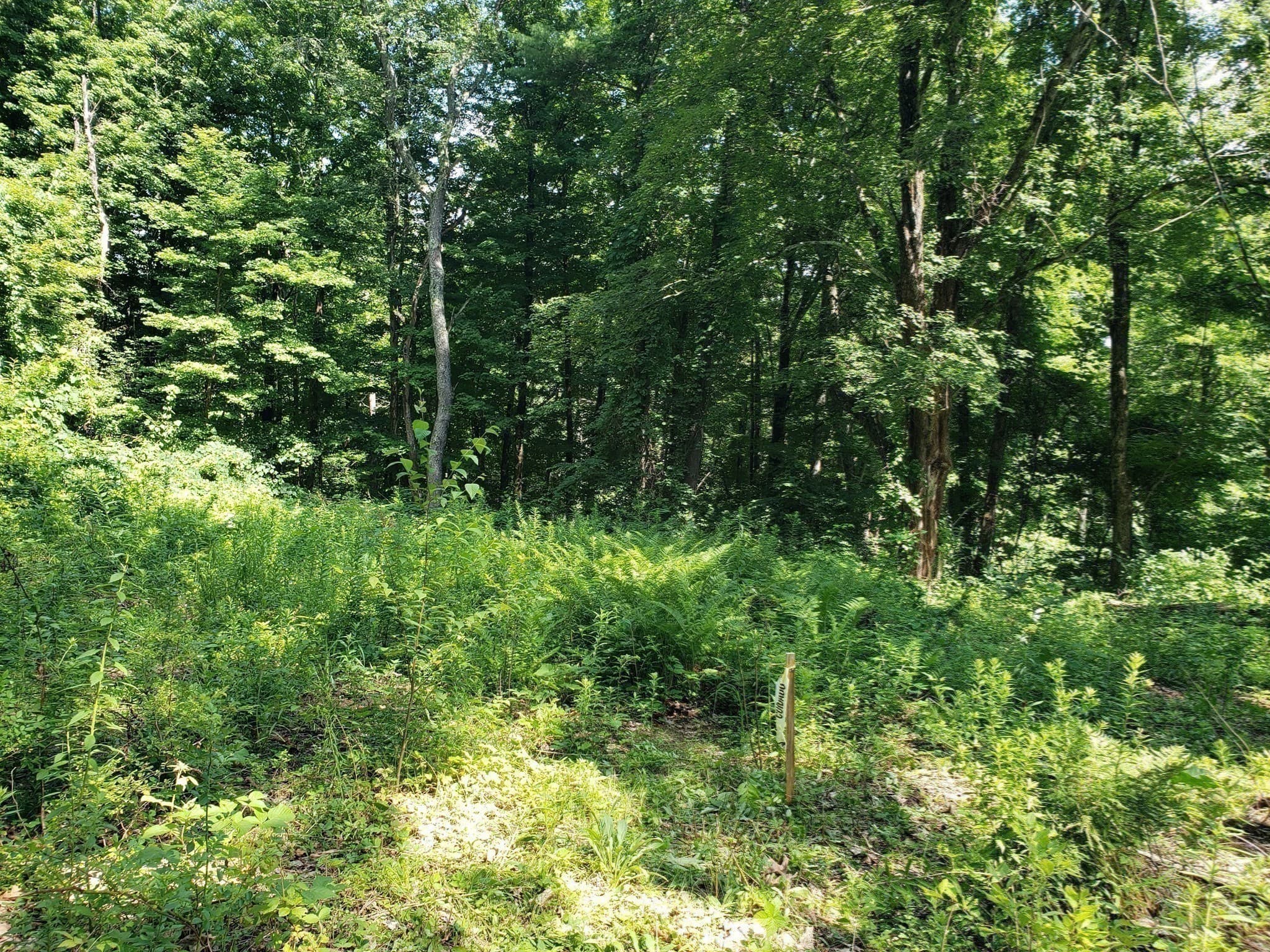 Residential at 0 Harlow Clark Rd., Huntington MA 01050, photo 15 of 19