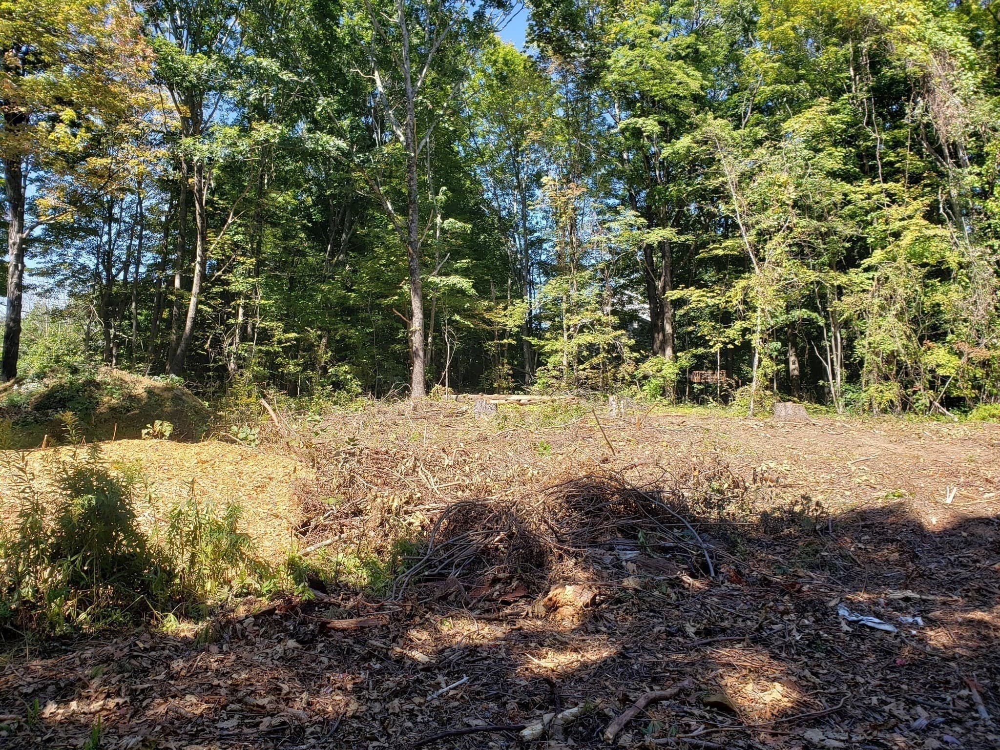 Residential at 0 Harlow Clark Rd., Huntington MA 01050, photo 8 of 19