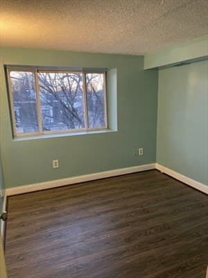 85 Munroe St, Boston MA 02119 photo 6