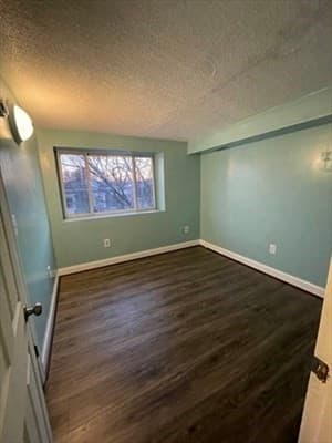 85 Munroe St, Boston MA 02119 photo 7