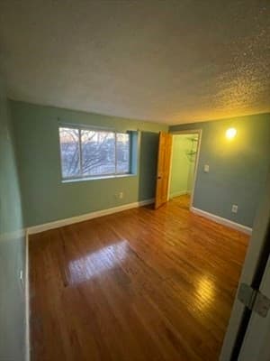 85 Munroe St, Boston MA 02119 photo 5