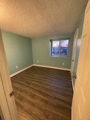 85 Munroe St, Boston MA 02119 photo 9