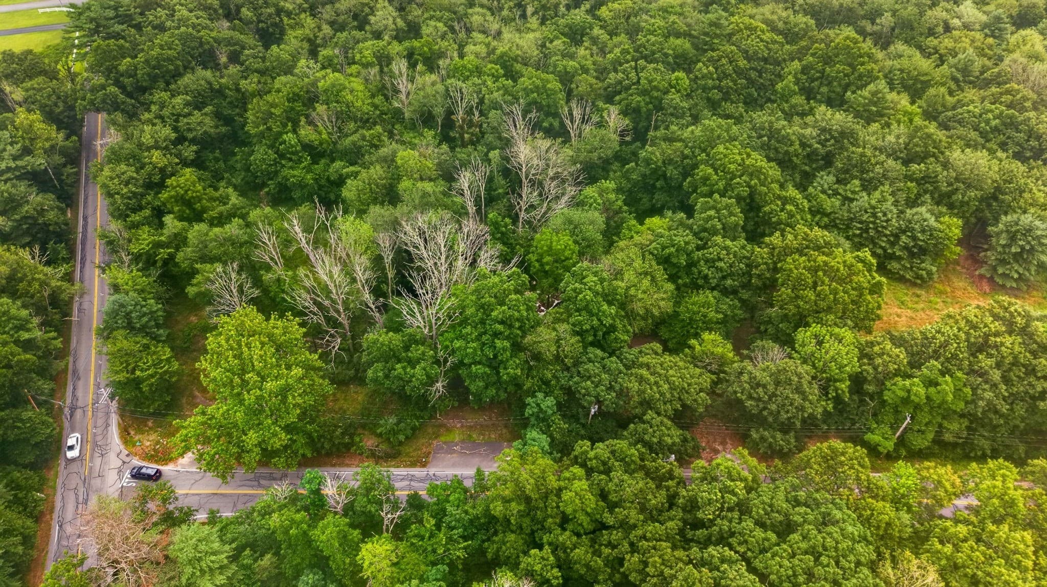 Land at 52 S Main St, Berkley MA 02779, photo 3 of 11